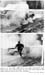 1967_179-01